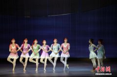 中国《天鹅》“飞”进俄罗斯艺术殿堂